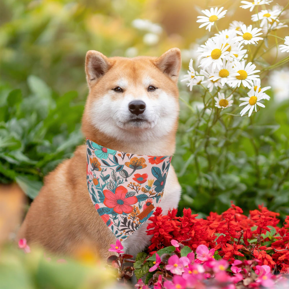 Bandana floral PTDECOR pour chien bleu, style estival.