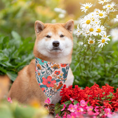 Bandana floral PTDECOR pour chien bleu, style estival.