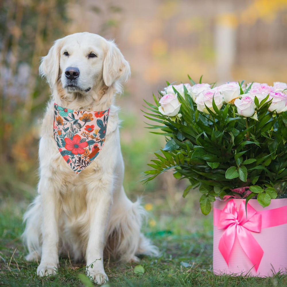 Bandana floral PTDECOR pour chien vert, parfait au printemps.