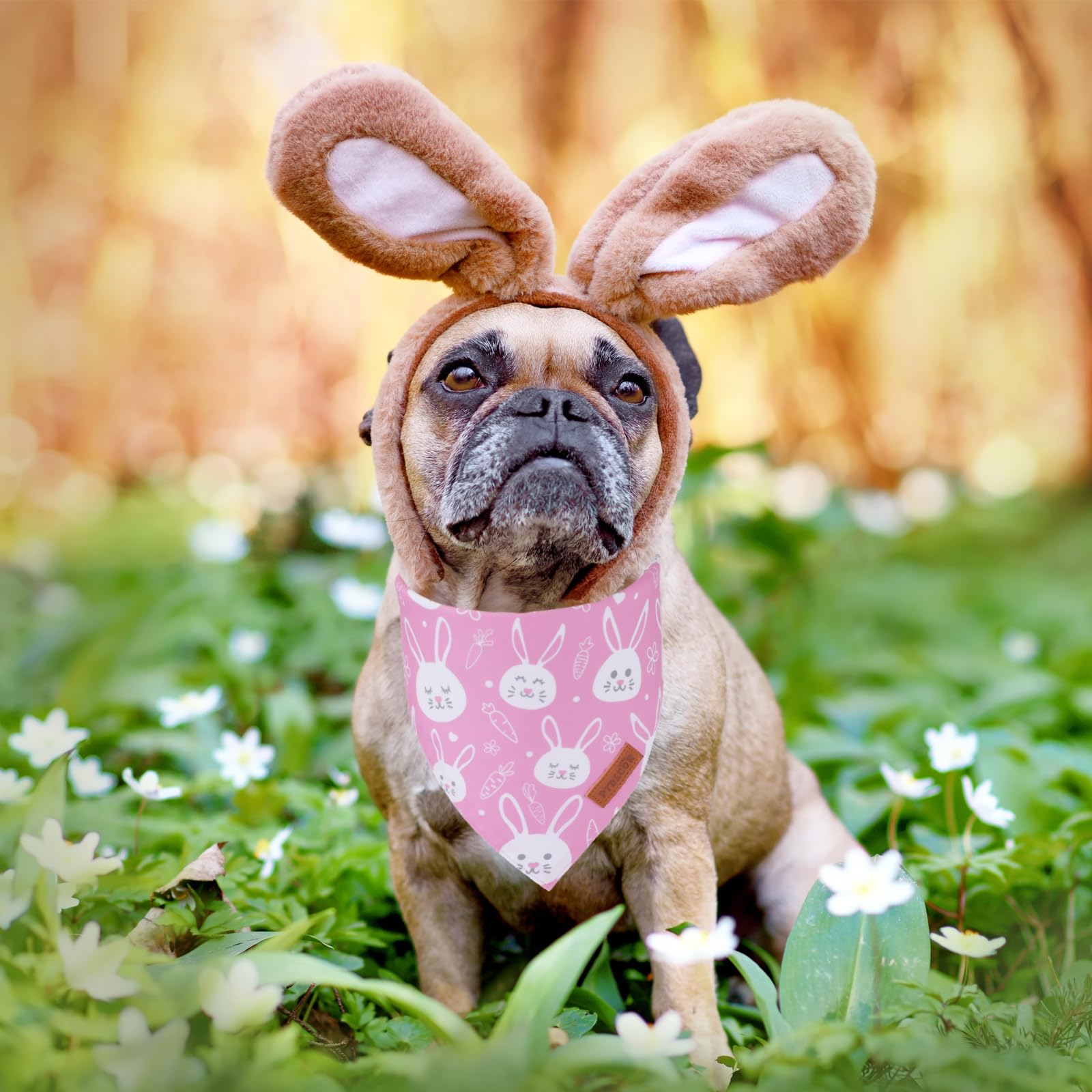 PTDECOR bandana paques rose taille-s, convient aux petits chiens.