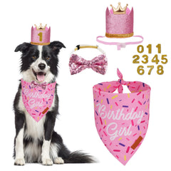 PTDECOR bandeau anniversaire chien, idéal pour les photos festives.