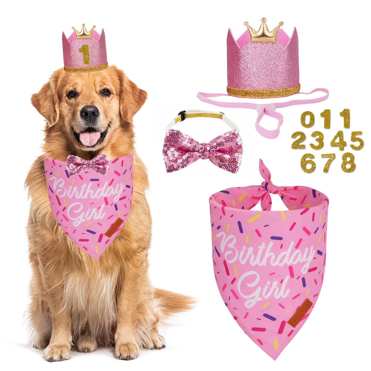PTDECOR bandeau chien anniversaire rose, look festif prêt pour les photos.