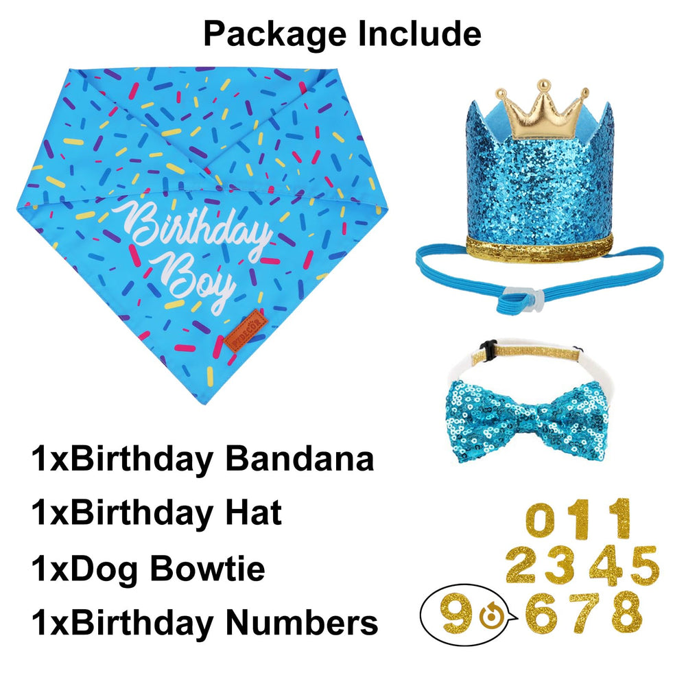 Chapeau chiffre bleu PTDECOR pour chien, facile à porter avec élastique.