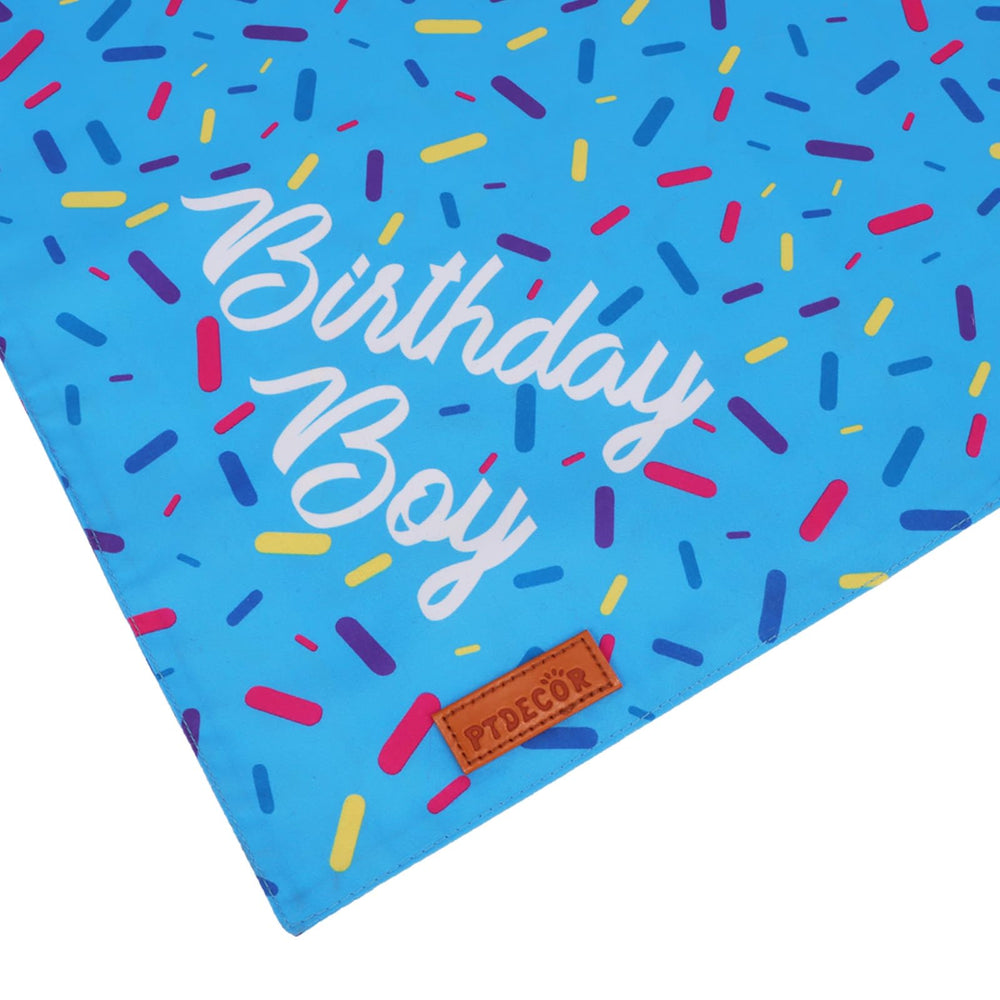 Ensemble anniversaire PTDECOR pour chien, coordination parfaite pour fête mémorable.