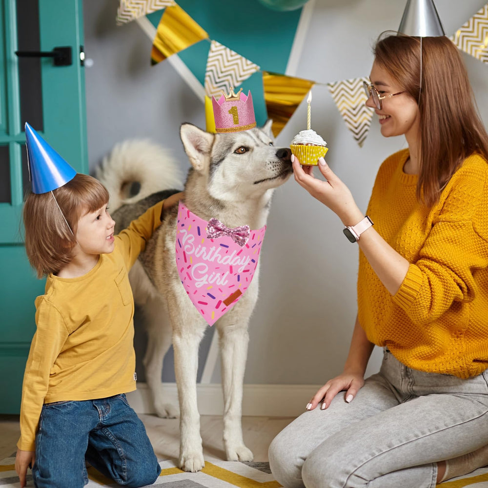 PTDECOR noeud-papillon chien rose, accessoire ajustable et élégant pour tout chien.