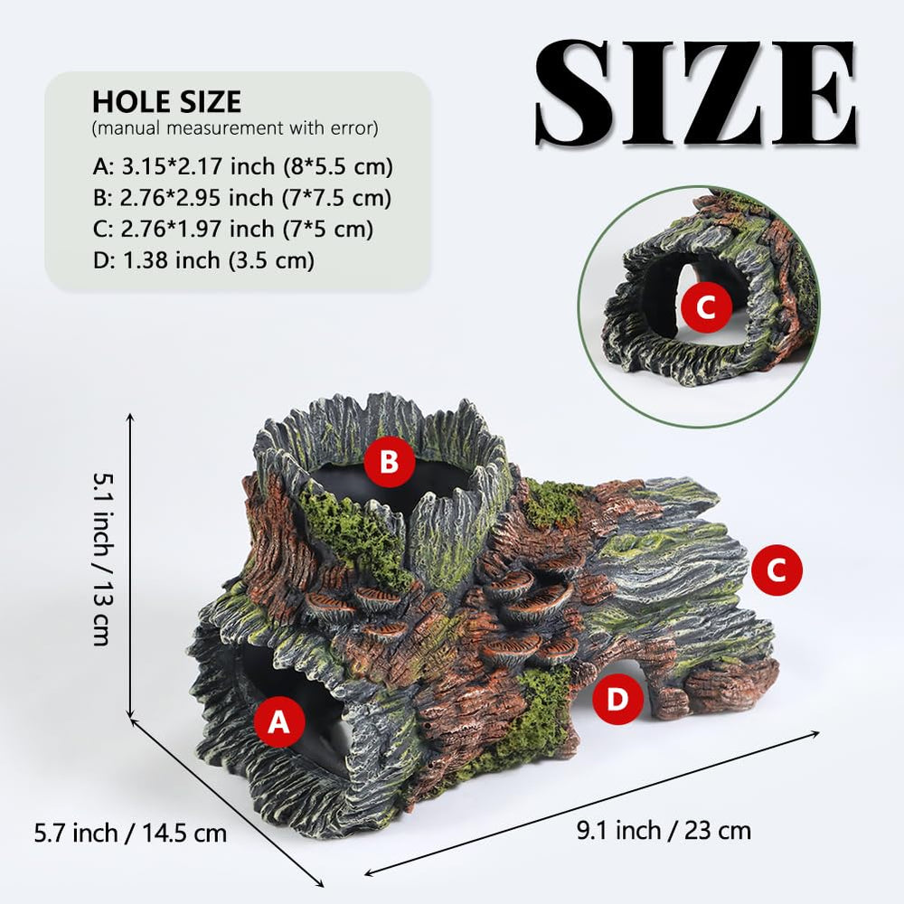 PTFJZ arbre creux – ouvertures multiples favorisent la nage et les passages.