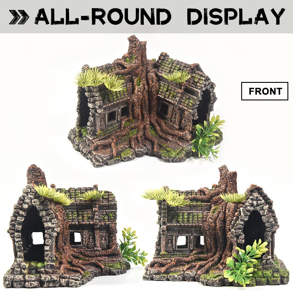 PTFJZ grotte Betta, refuge naturel pour poissons betta et compagnons.