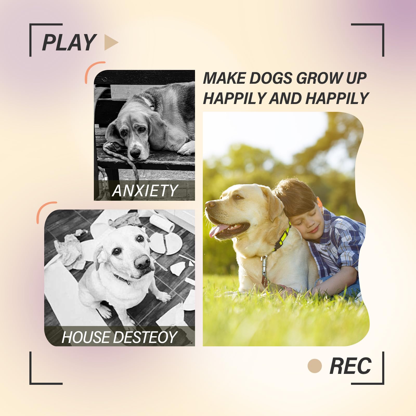 Ptlsy adapté aux chiens petits et moyens pour l’activité intérieure.