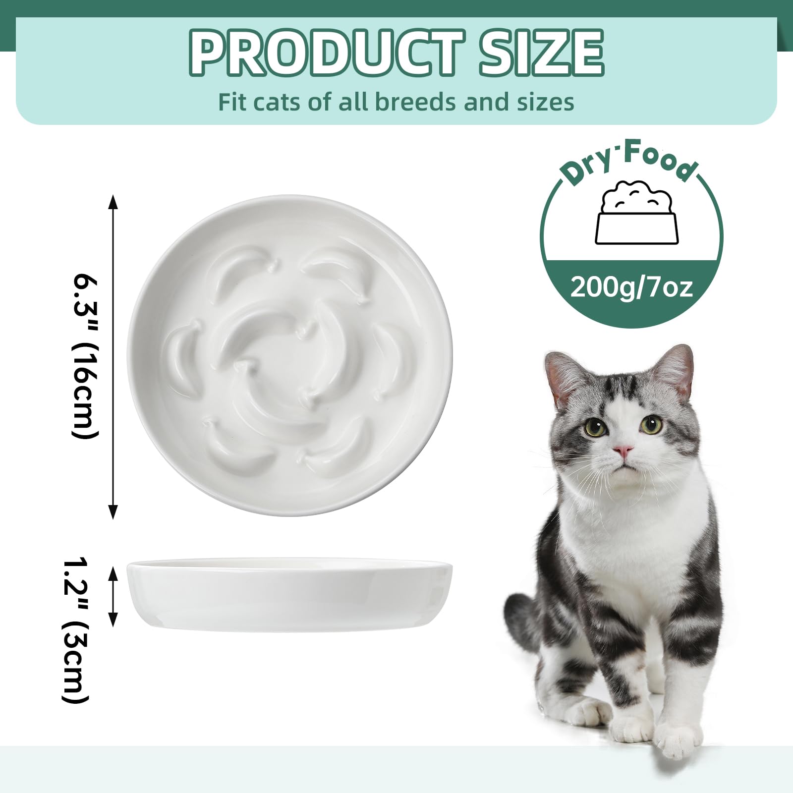 Assiette lente PTOBER anti-glisse pour chat, idéale pour repas plus propres.