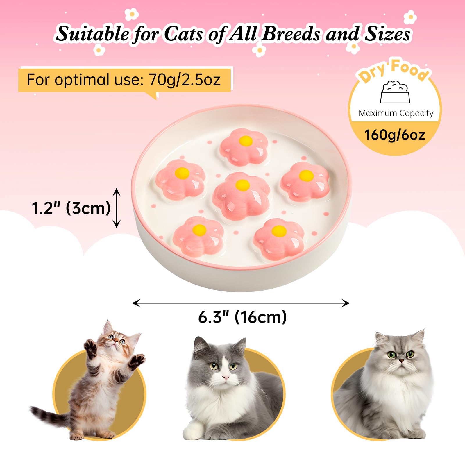 Vue du bol PTOBER, diamètre 16 cm, rose et fleurs, accessibilité facile pour chats.