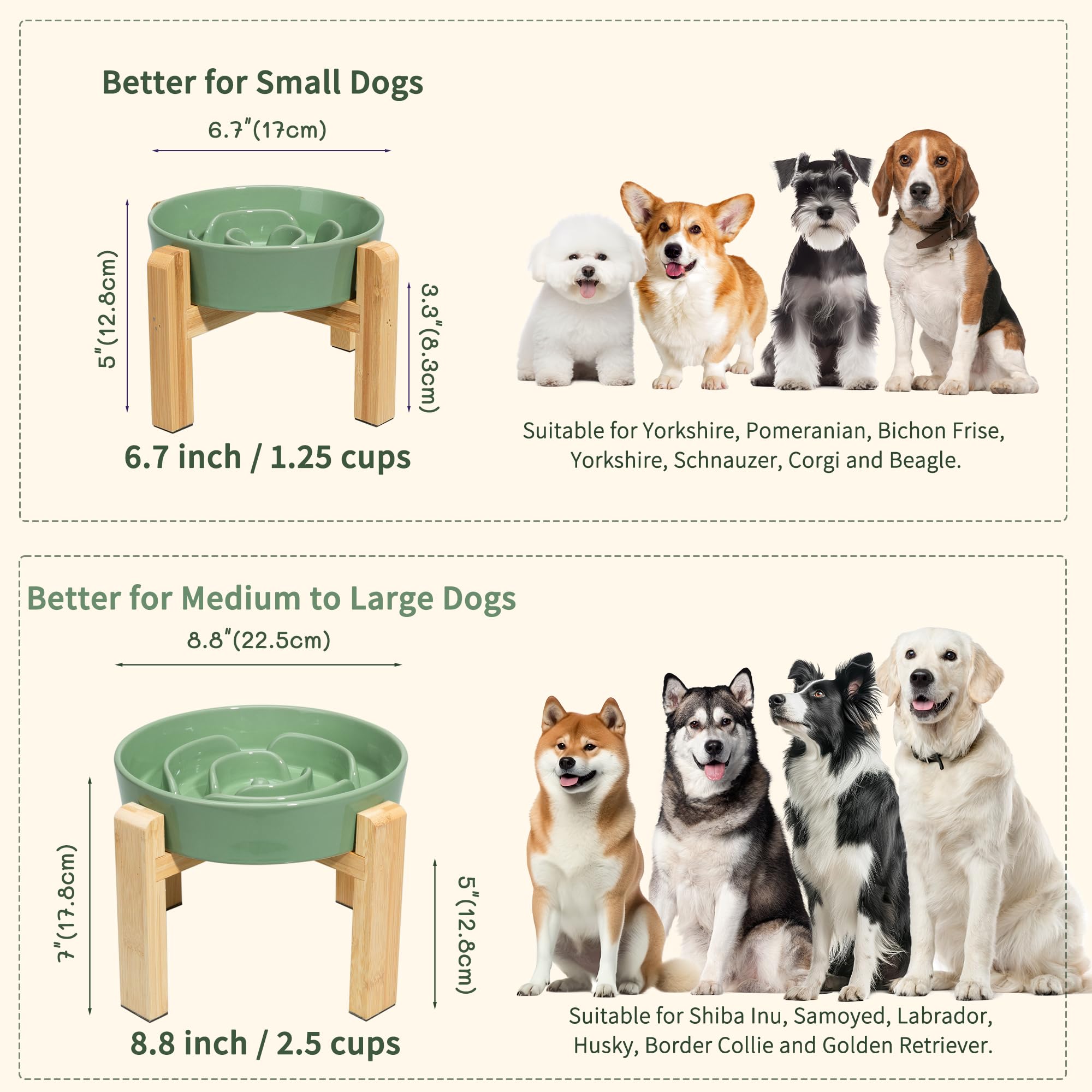 PTOBER bol haut adapté petits et moyens chiens pour confort.