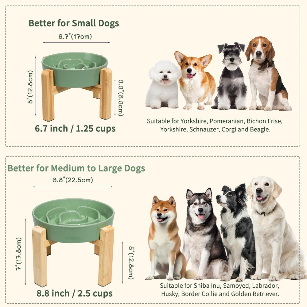 PTOBER bol haut adapté petits et moyens chiens pour confort.