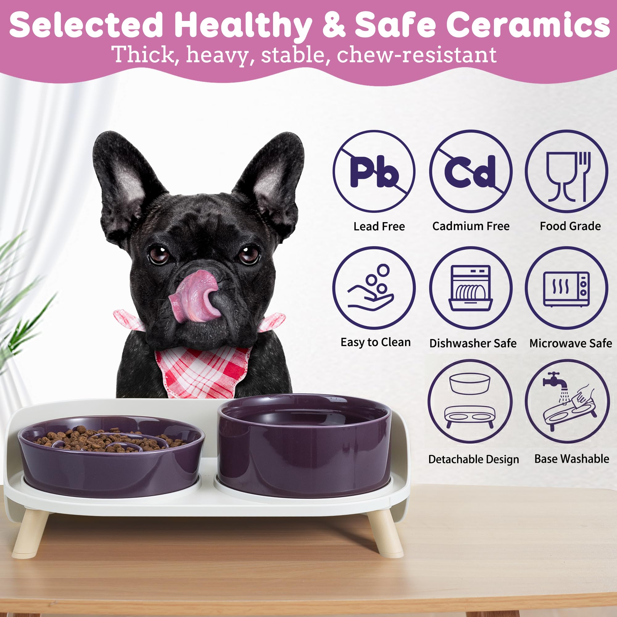 PTOBER design surlee pour chien de petites et moyennes tailles.