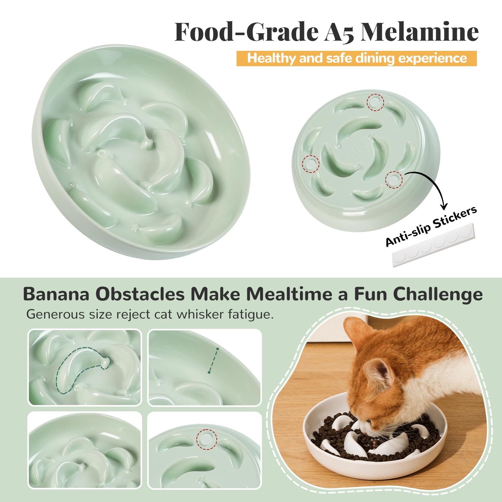 PTOBER gamelle lente grand diamètre: accès nourriture facilité sans moustaches perturbées