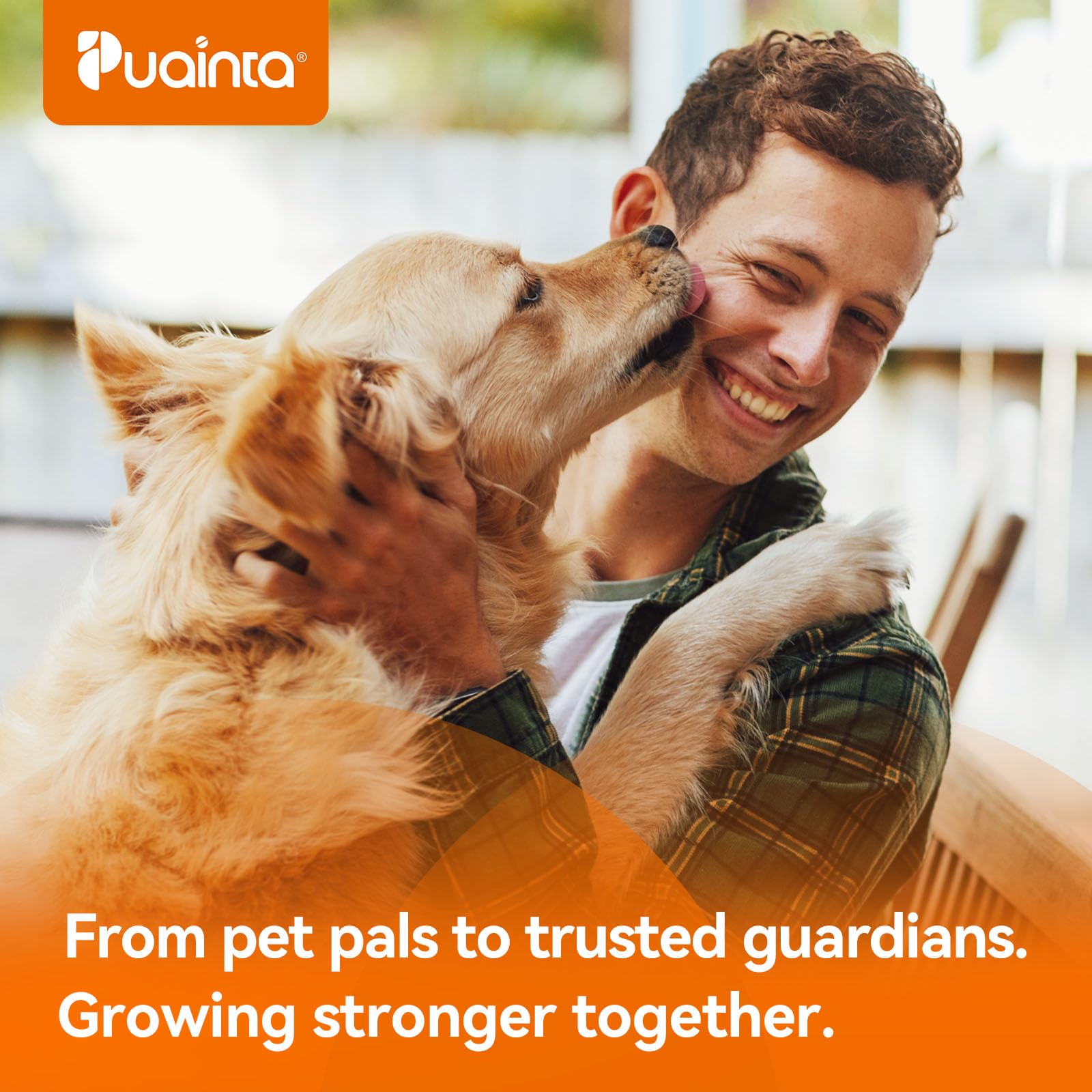 PUAINTA Poudre dents chien et chat - solution pratique pour l'entretien oral.
