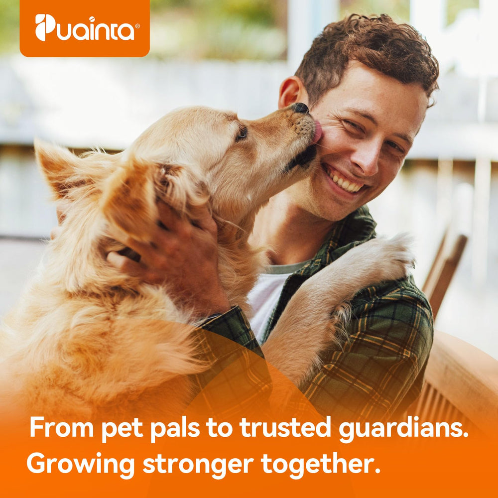 PUAINTA Poudre dents chien et chat - solution pratique pour l'entretien oral.