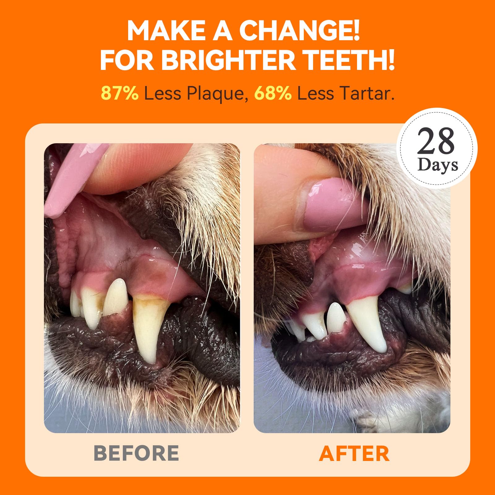 PUAINTA Poudre dents chien - facile utilisation pour mélanger dans l'alimentation.