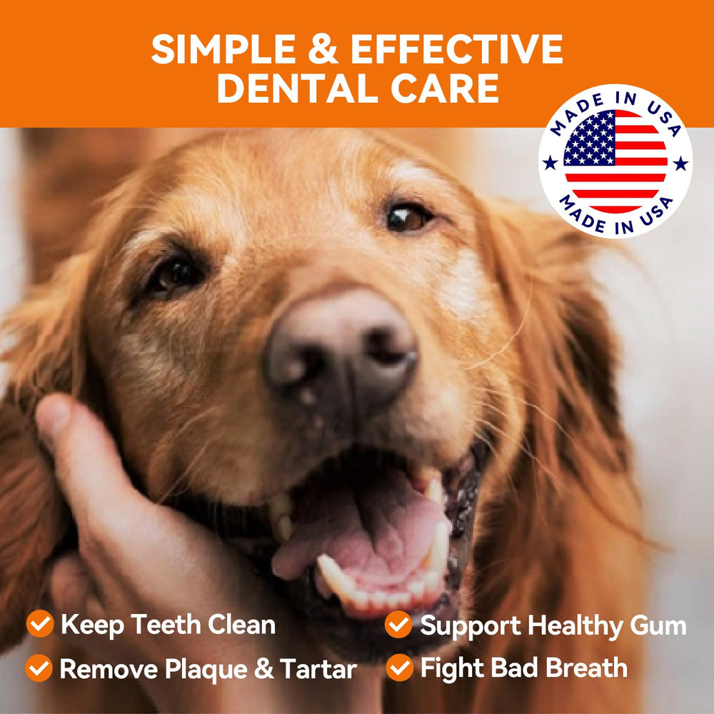 PUAINTA Poudre dents chien - ingrédients naturels pour routine d'hygiène buccale.