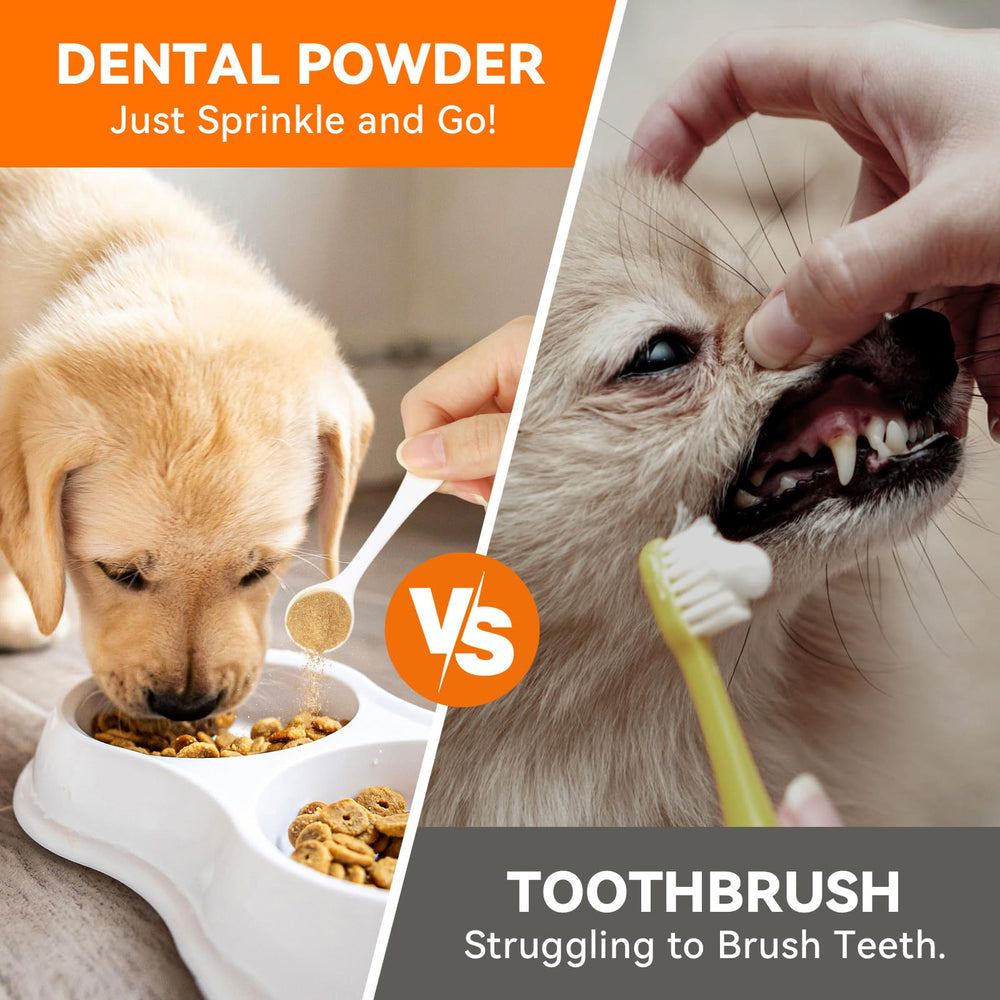 PUAINTA Poudre dents chien - utilisation quotidienne facile pour l'hygiène buccale.
