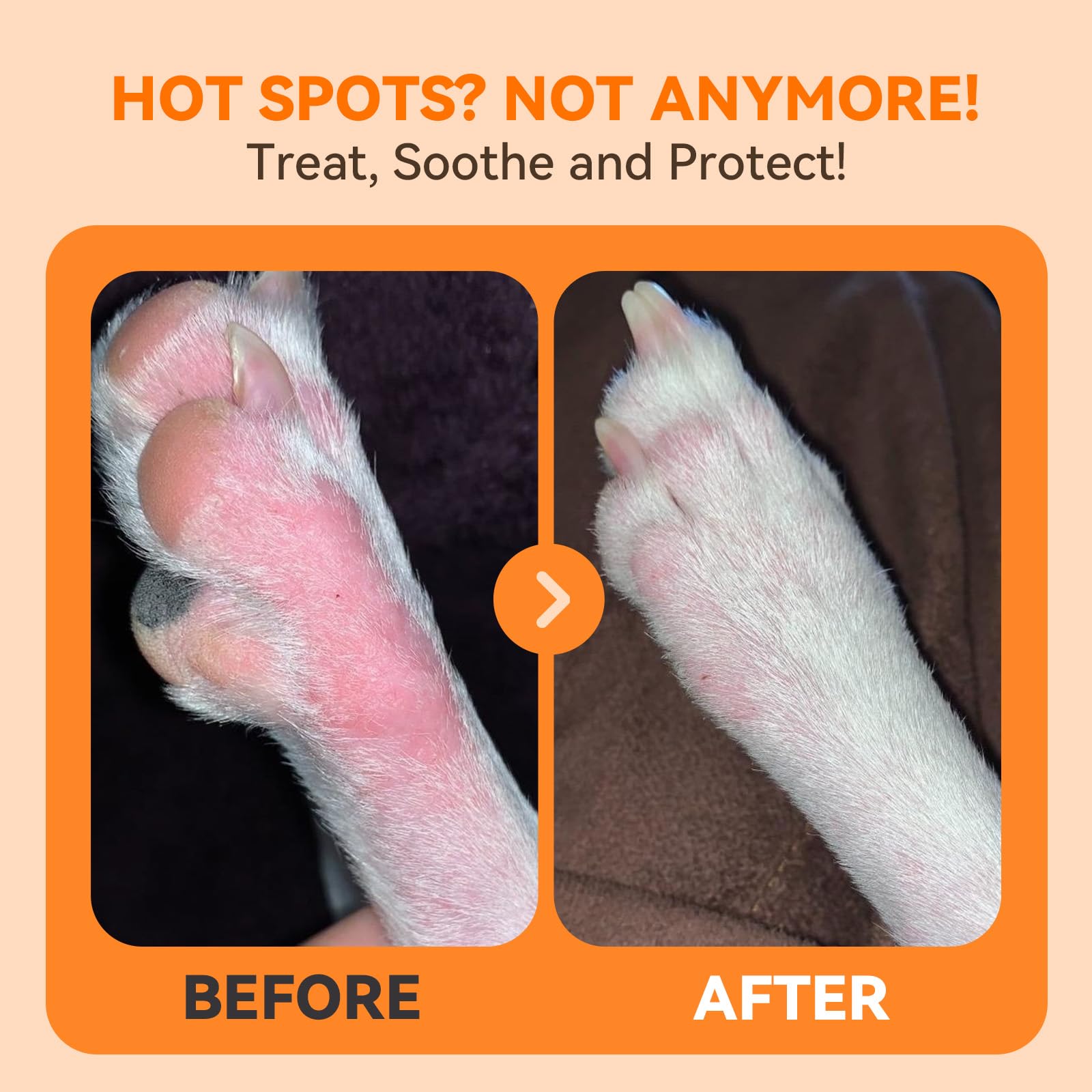 PUAINTA pour chiens et chats – solution pratique et sûre