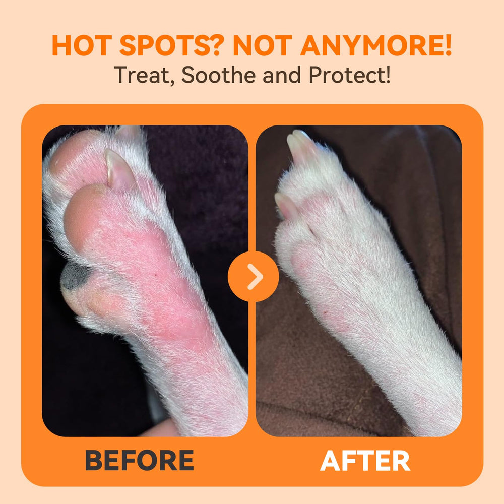 PUAINTA pour chiens et chats – solution pratique et sûre