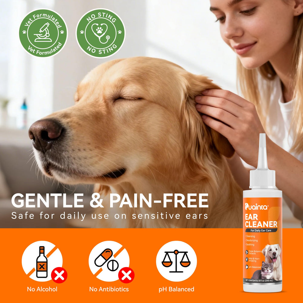 PUAINTA Solution Oreilles: odeur neutre et agréable.