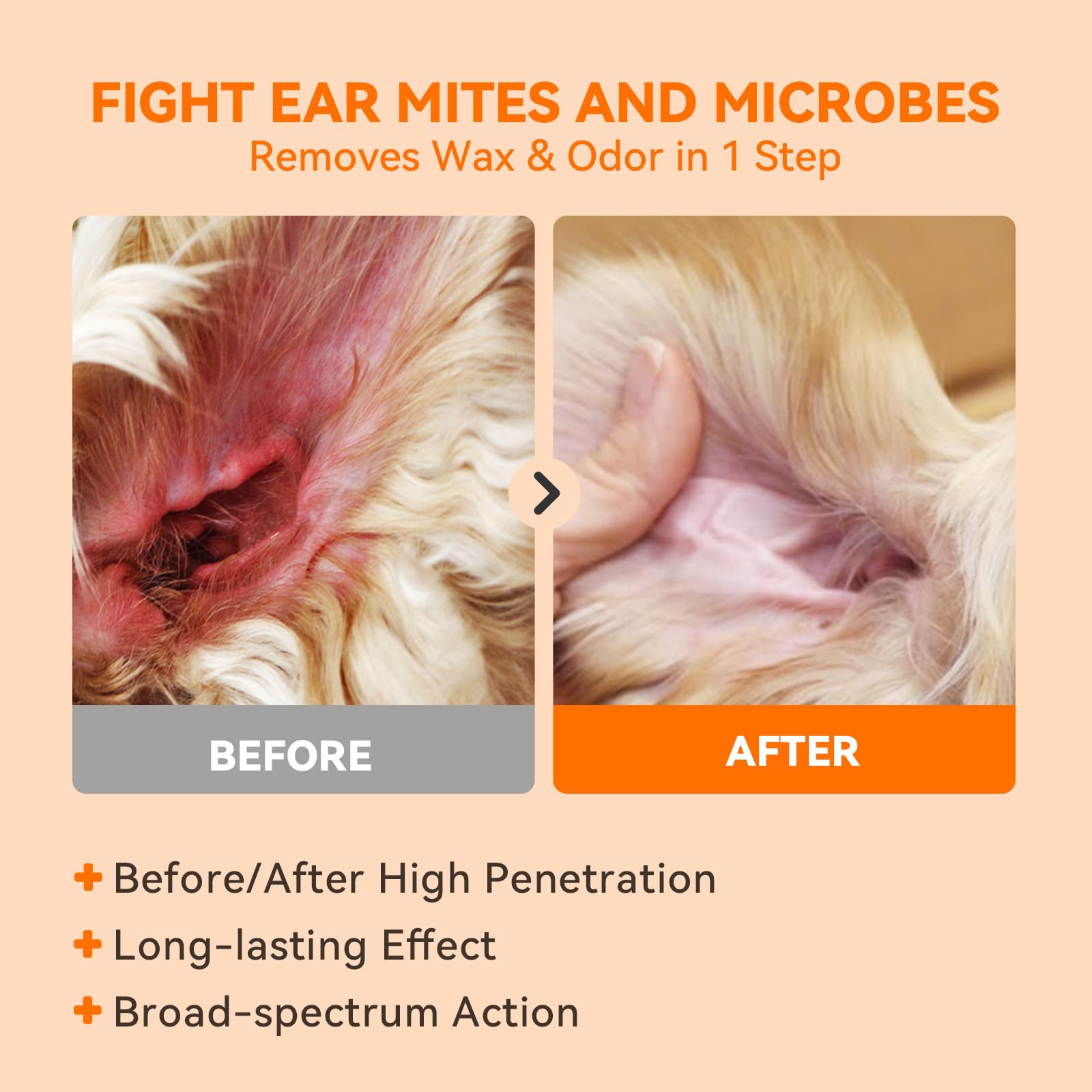 Utilisation quotidienne PUAINTA pour des oreilles plus saines
