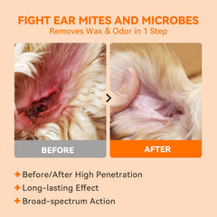 Utilisation quotidienne PUAINTA pour des oreilles plus saines