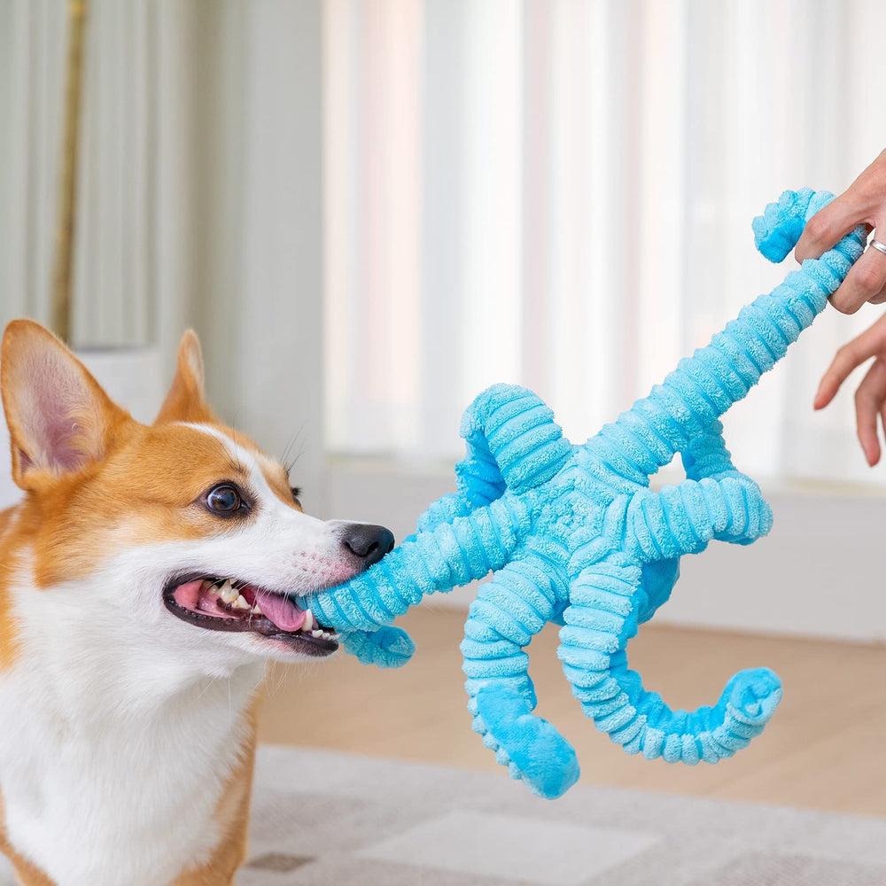 Pubialo Poulpe qui siffle; capte l'attention des chiens actifs.