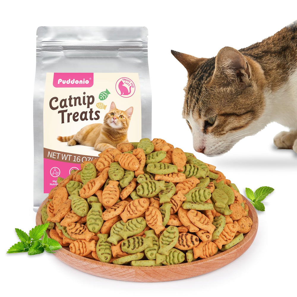 Puddonio cataire infuse attire le chat et stimule le jeu.