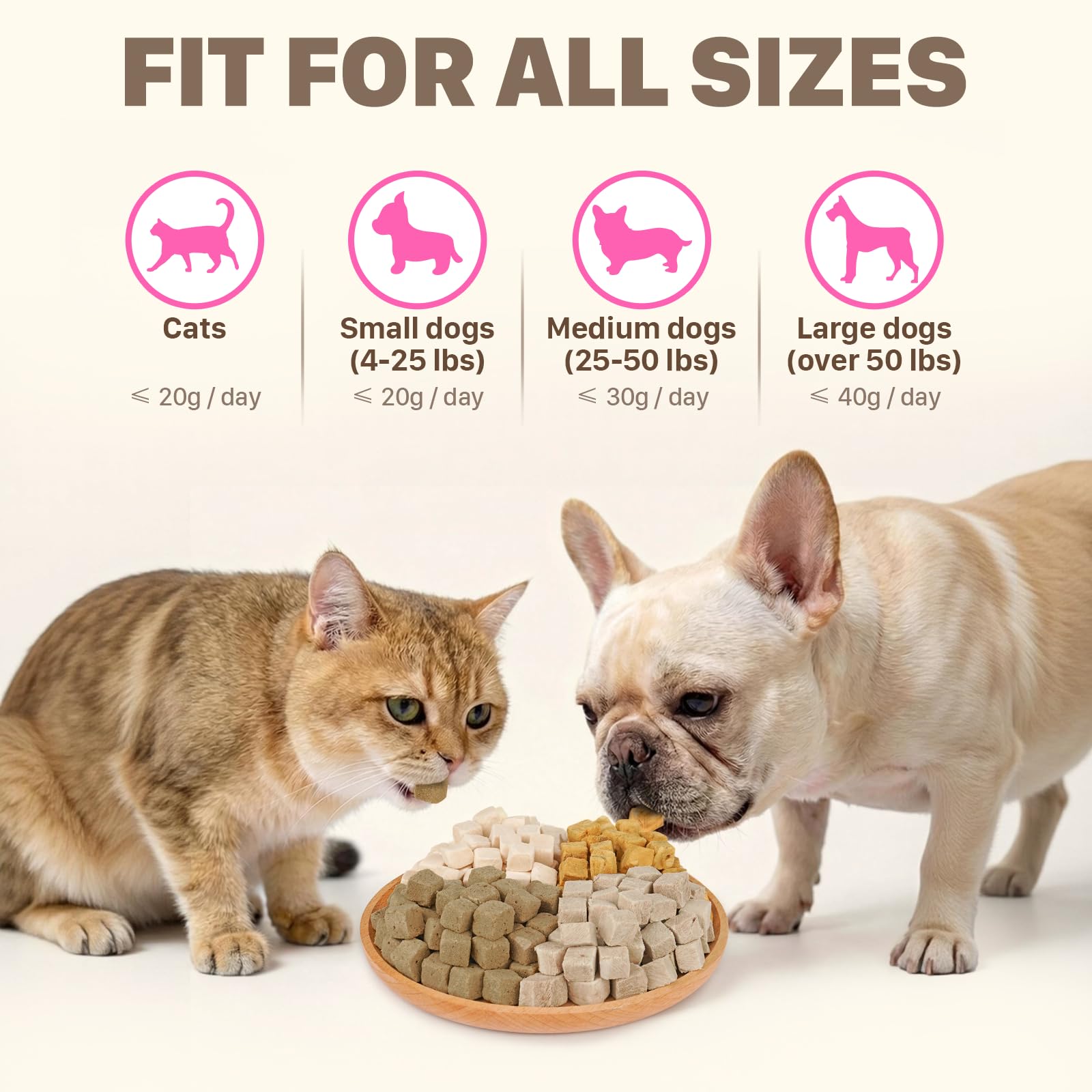 Puddonio – Entraînement chien et chat, récompense pratique.