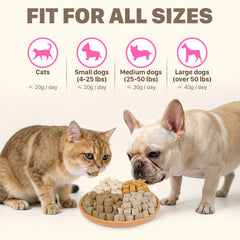 Puddonio – Entraînement chien et chat, récompense pratique.