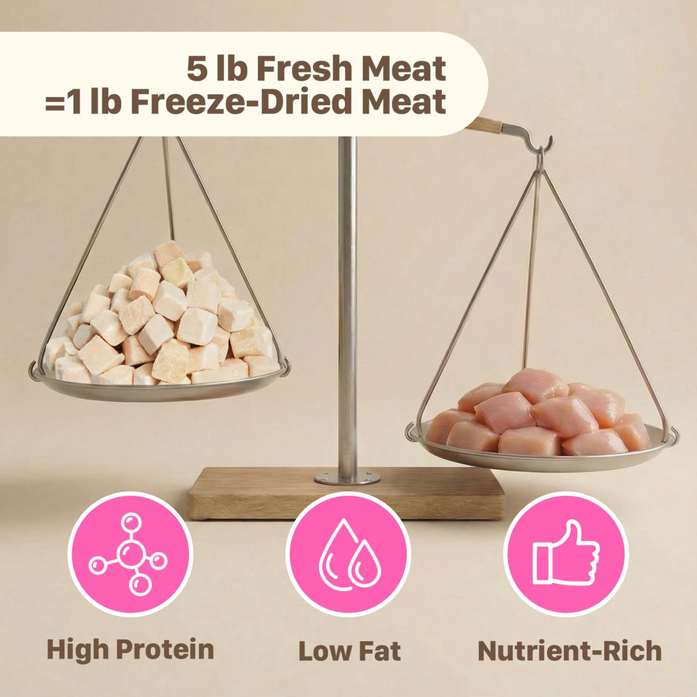 Puddonio – Topper alimentation chat, émietté sur croquettes.