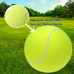PULEEBO balle tennis gros pour entraînements ludiques avec votre chien.