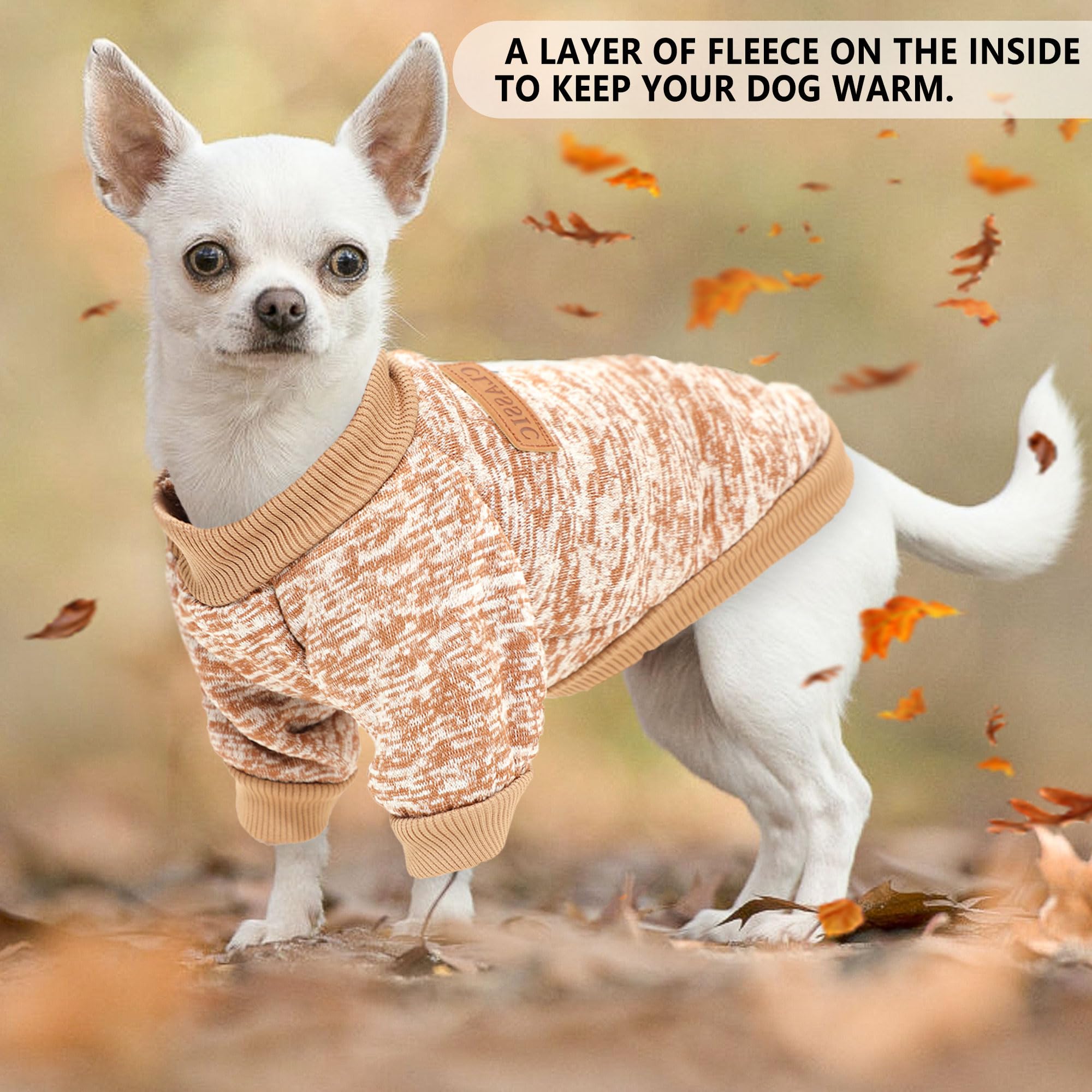 Pull-chien-petit-motif-coeur: design charmant pour moments câlins à la maison.