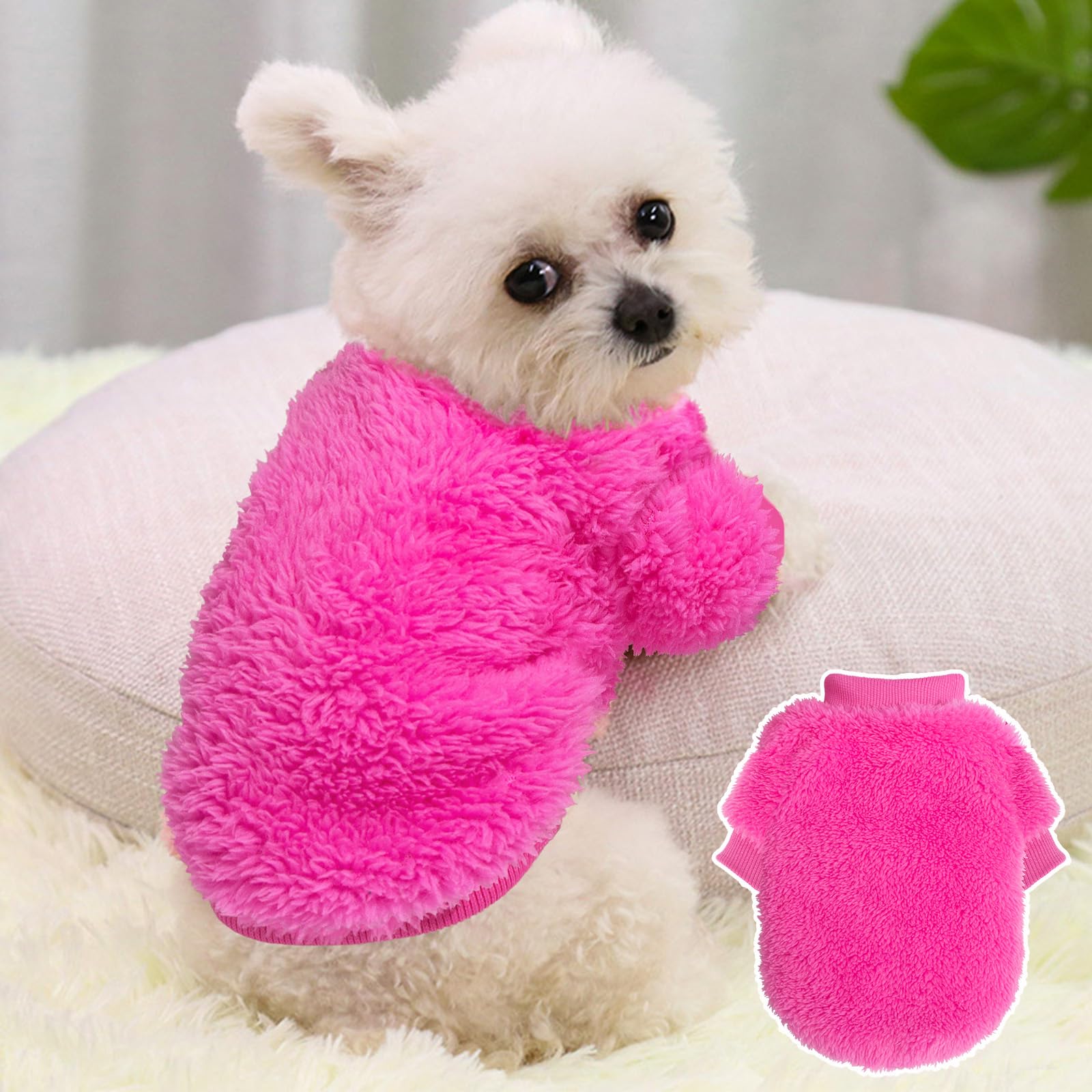 Pull-chien-xxs enfilage-facile: mise en place rapide.