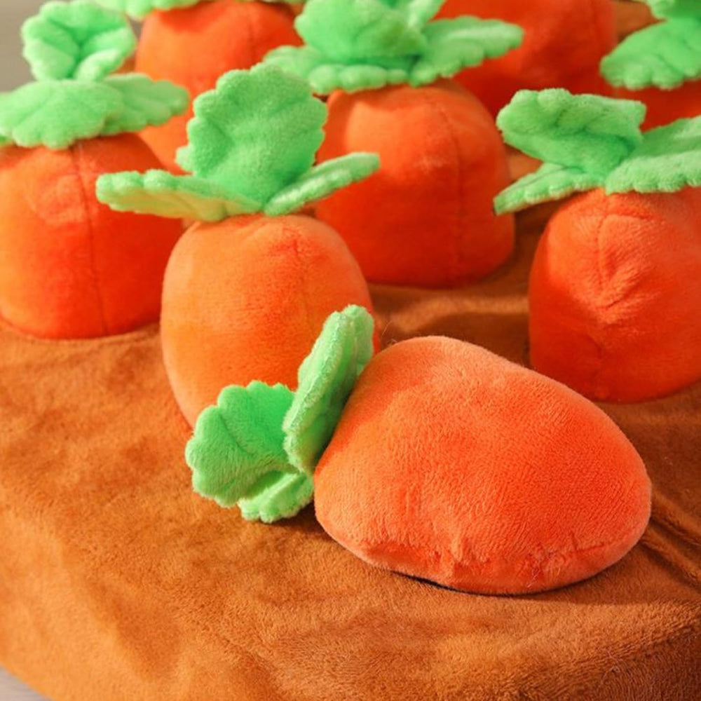 PUMEXFE Carottes amovibles: remplissage personnalise