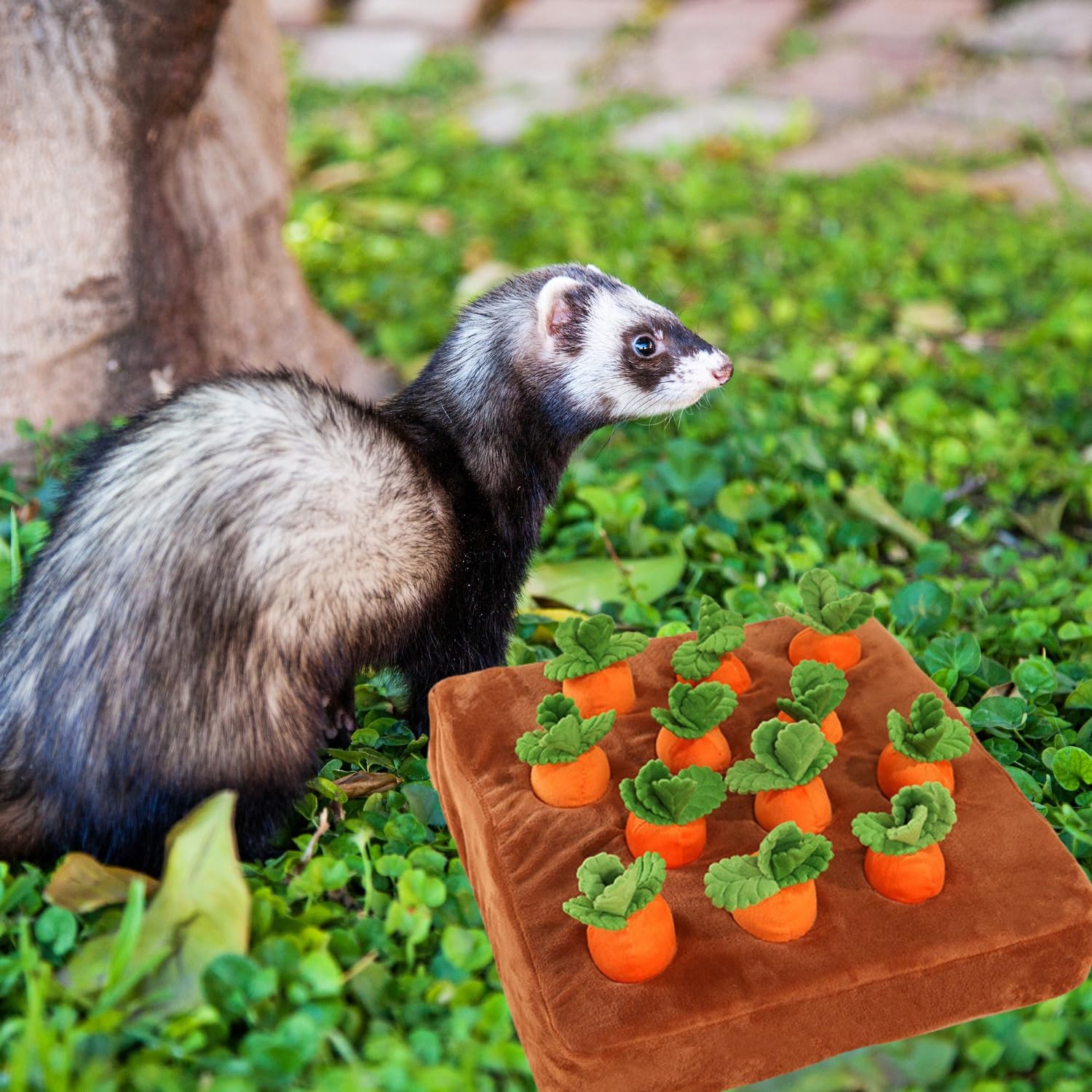 PUMEXFE Compatibilite: pour furets et autres petits animaux