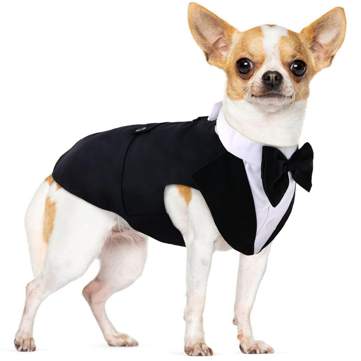 PUMYPOREITY tuxedo noir avec gilet, look chic pour petit chien.
