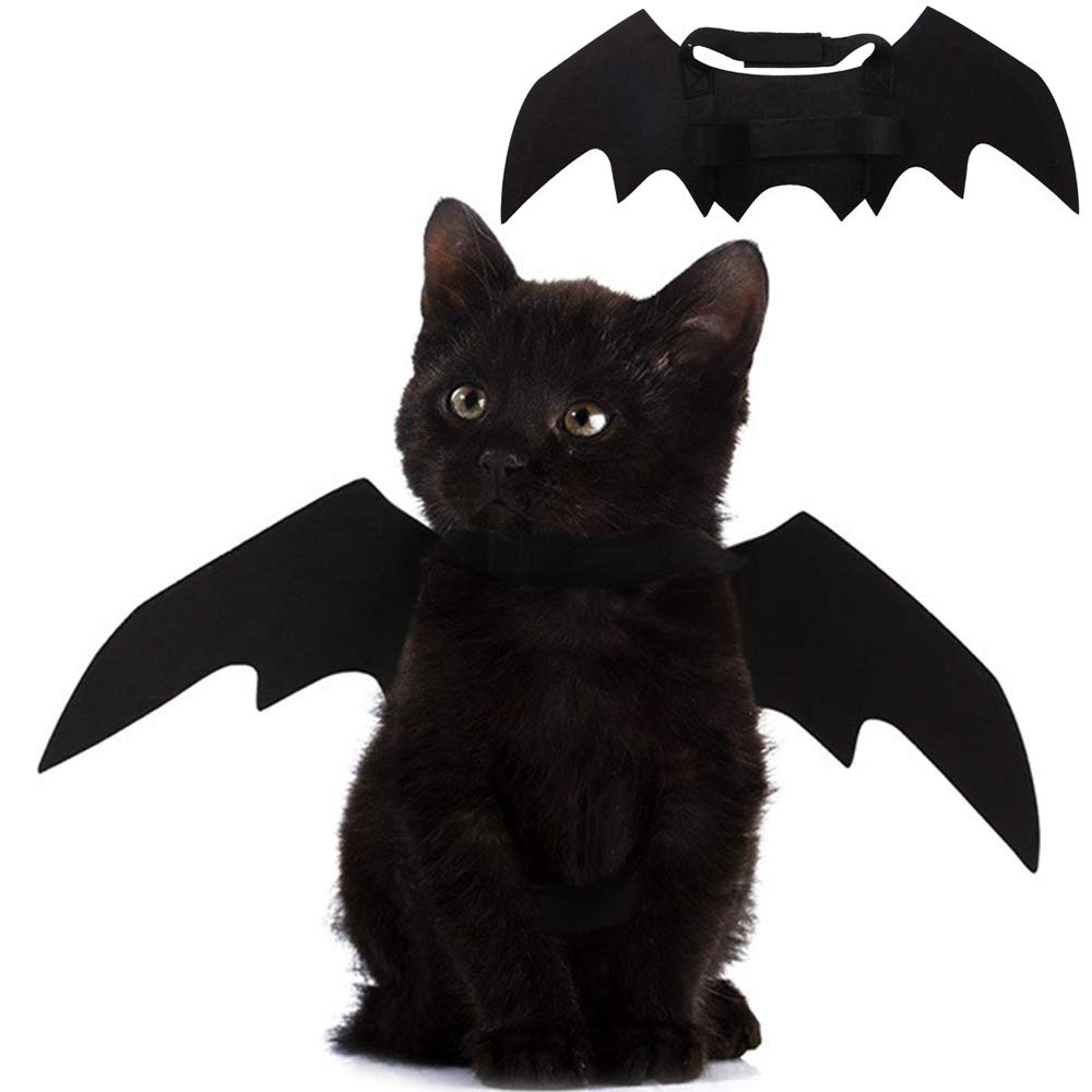 Puoyis ailes-souris pour chat, décor Halloween mignon et rapide à mettre.