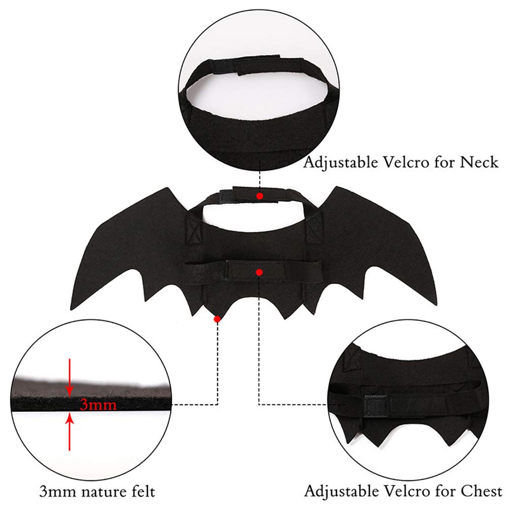 Puoyis costume Halloween chat, look de chauve-souris amusant et sûr.