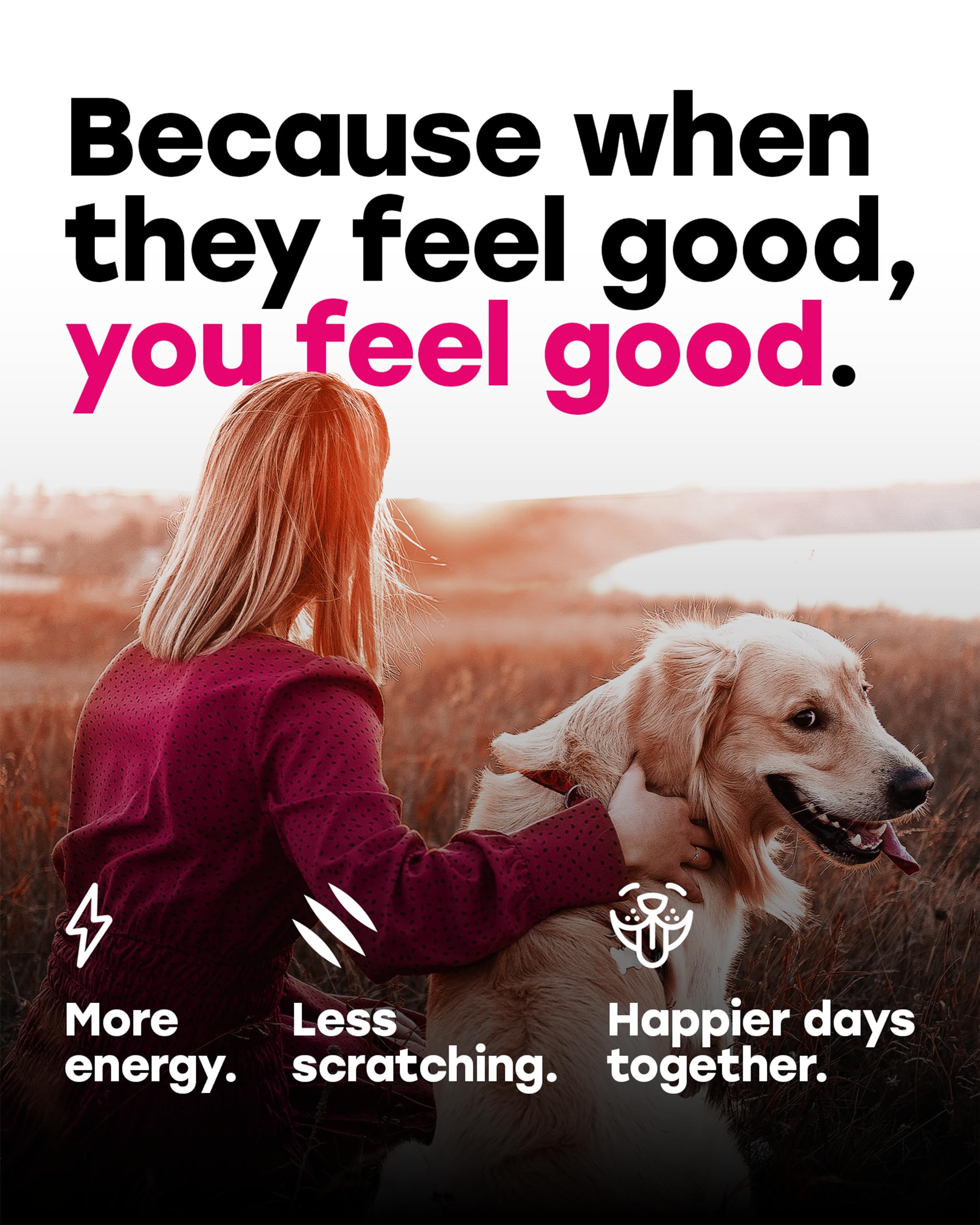 Pup Choice 24-en-1 compléments diététiques pour chiens.