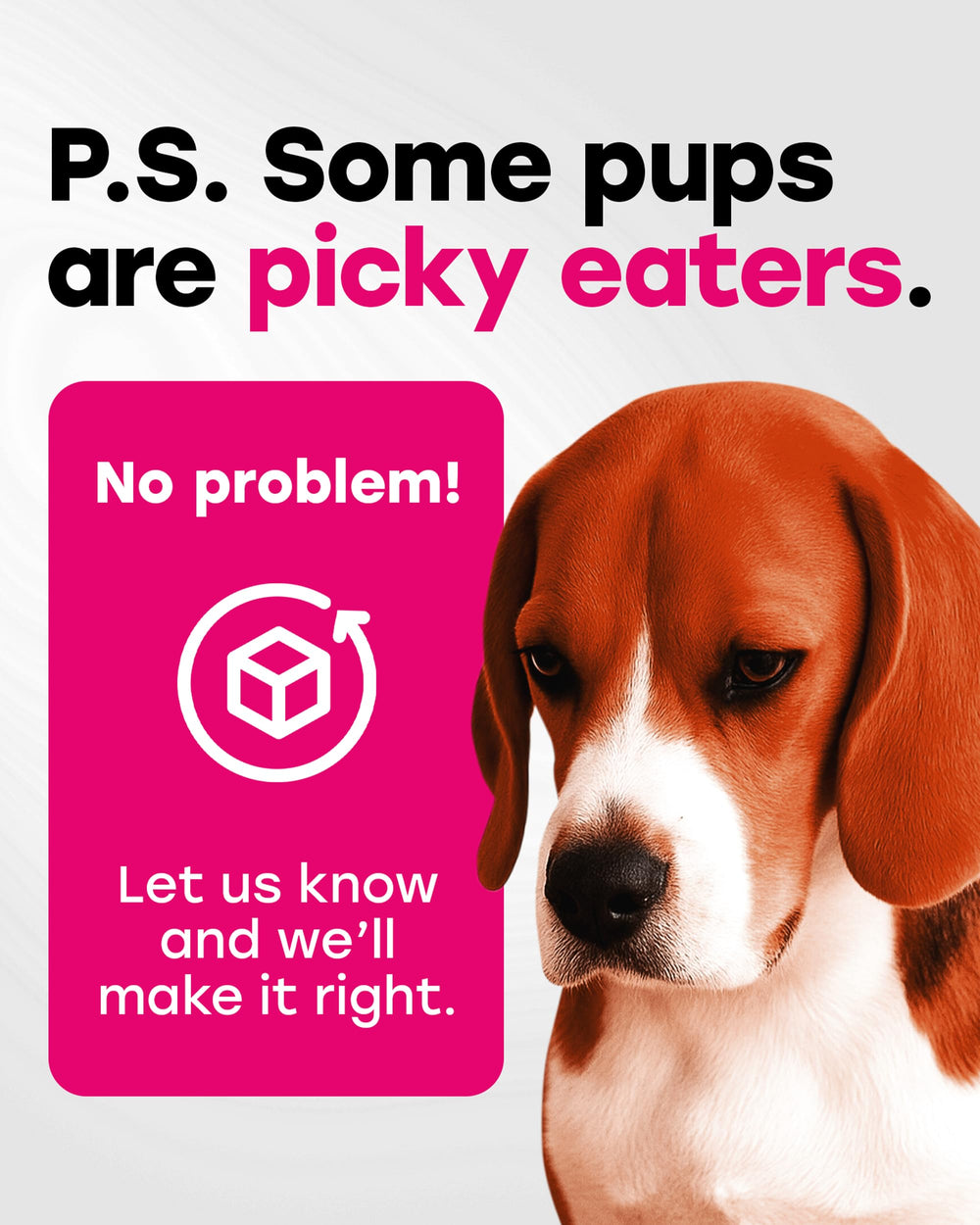 Pup Choice 24-en-1 flacon pratique et emballage identifiable.