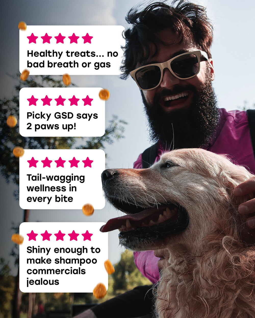 Pup Choice 24-en-1 utilisation facile avec les repas quotidiens.