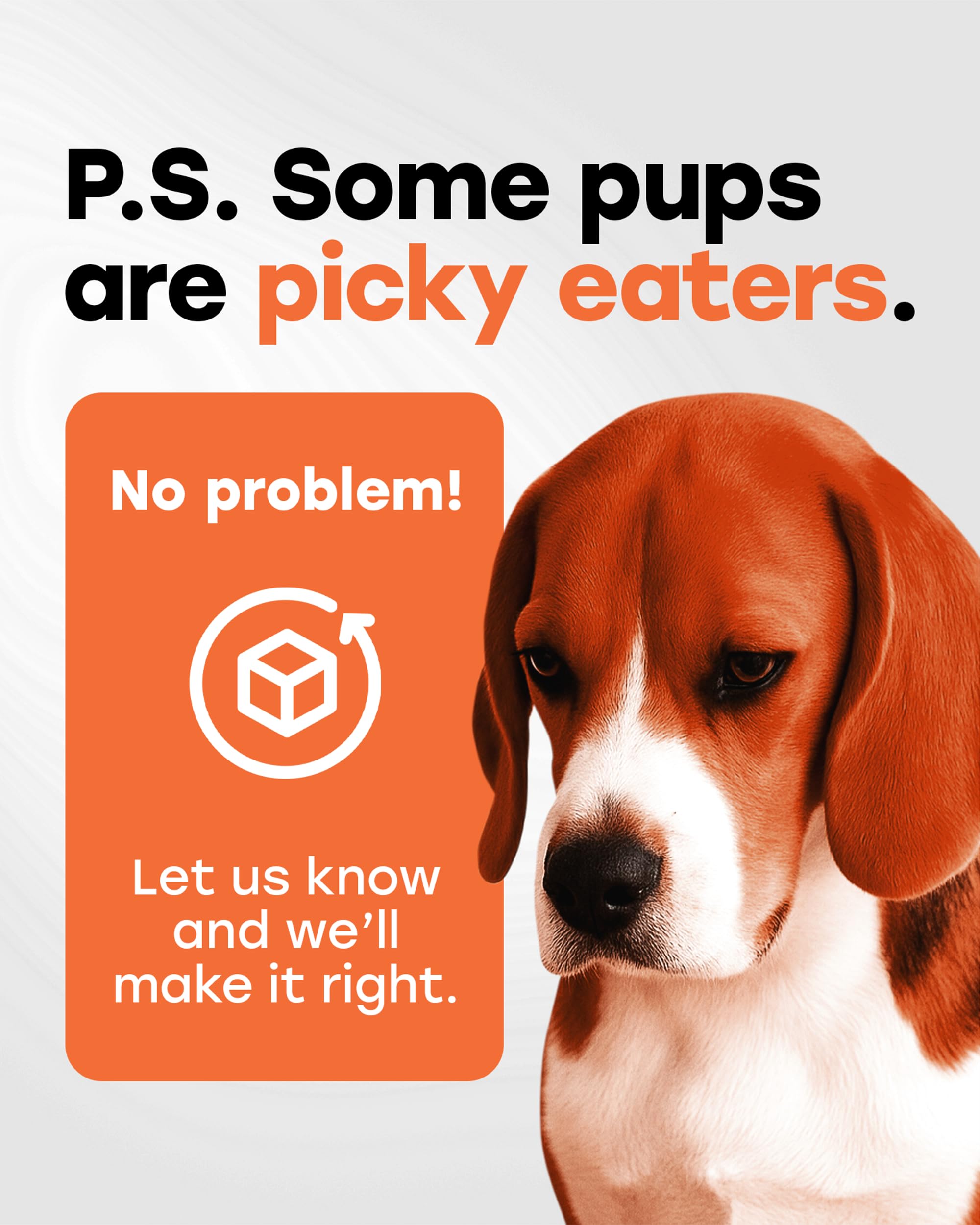 Goût boeuf Pup Choice — friandise quotidienne et confort articulaire.