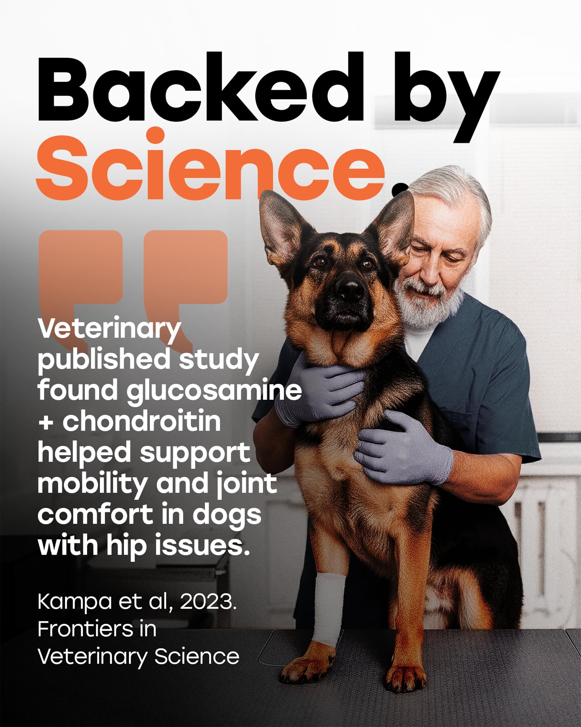 Chiens seniors Pup Choice Glucosamine — mobilité accrue et bien-être.