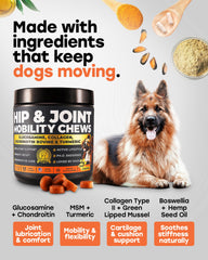 Utilisation quotidienne Pup Choice Glucosamine 500mg — mobilité et confort potentiel.