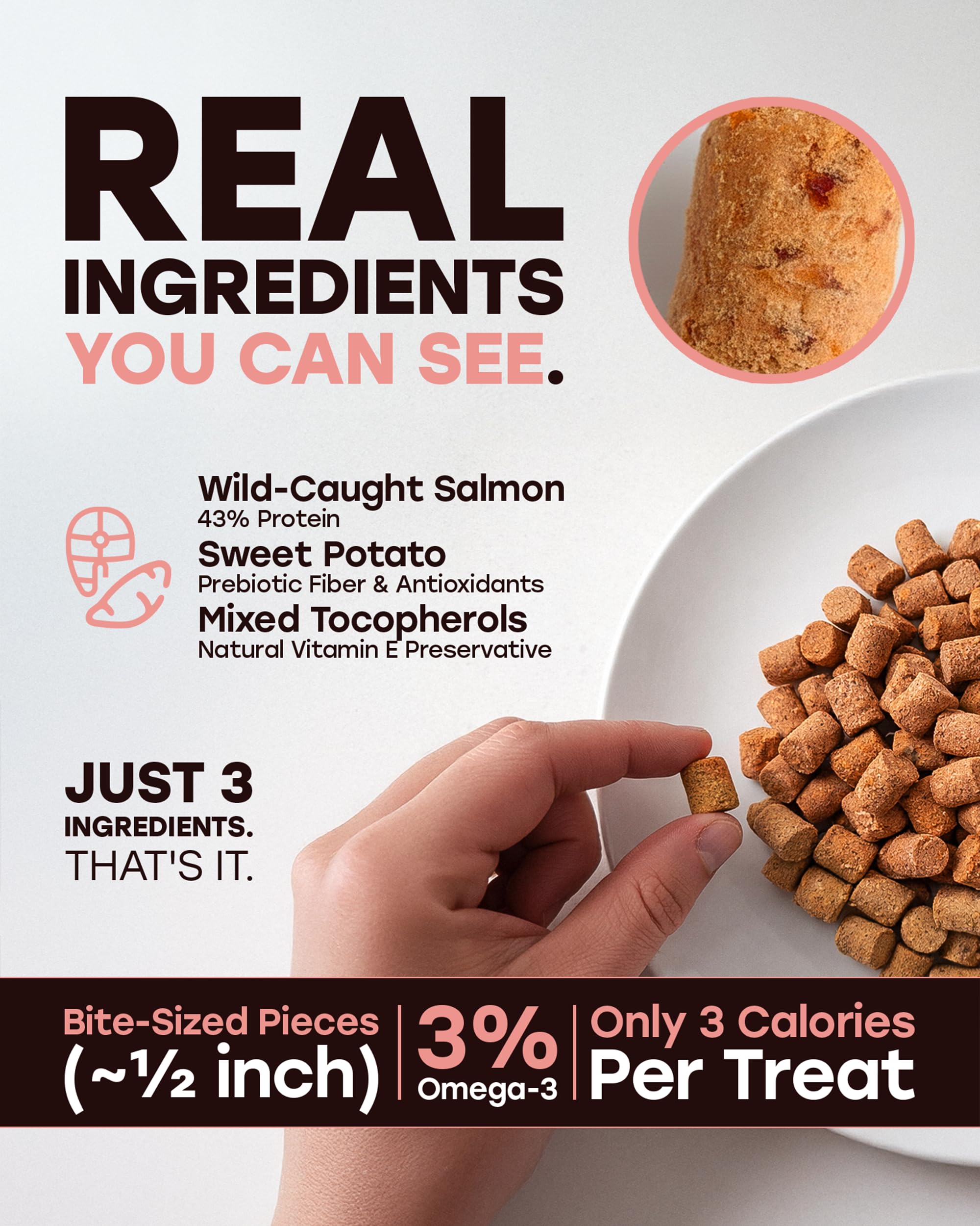 Contrôle des portions avec Pup Choice Wild Catch