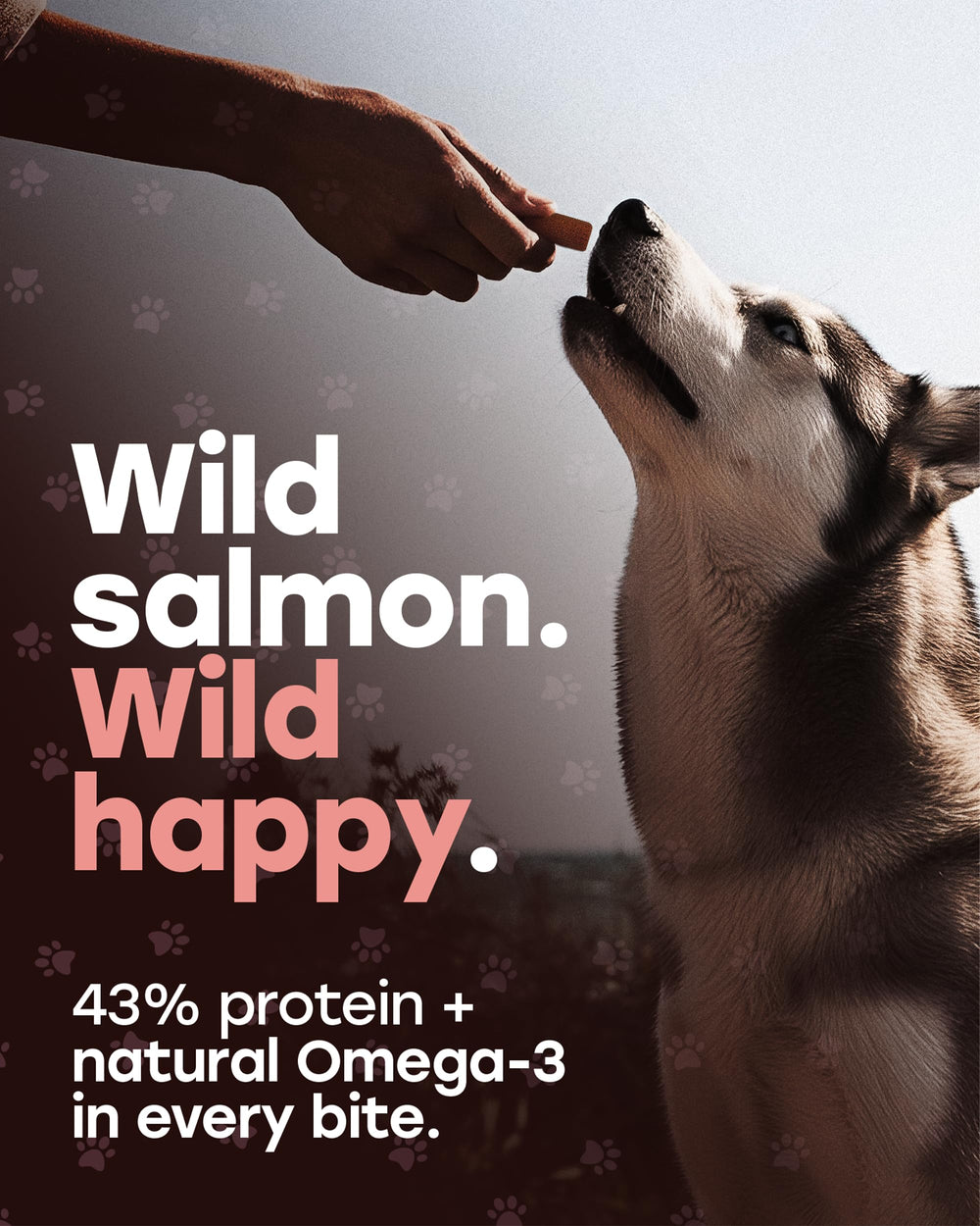 Idéal pour l'entraînement Pup Choice Wild Catch pour récompenses mesurables