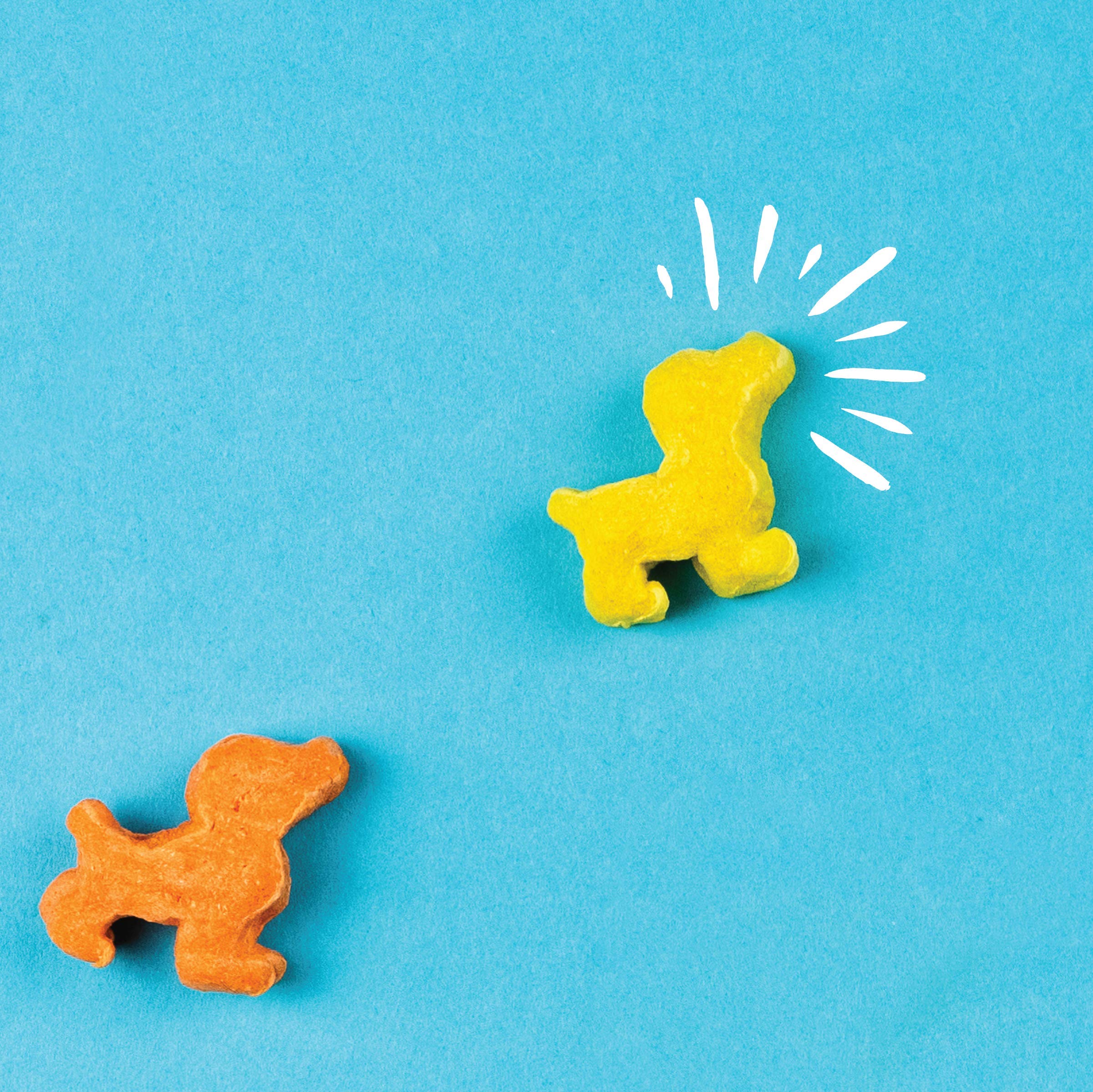 Pup Corn Plus – moins de 4 calories par friandise, option légère.